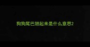 狗狗尾巴翘起来是什么意思