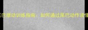 拉布拉多尾巴摆动训练指南如何通过尾巴动作读懂狗狗情感