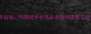 科学喂养指南狗狗营养补充必备食物清单与饮食误区