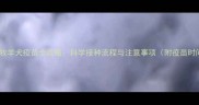 苏格兰牧羊犬疫苗全攻略科学接种流程与注意事项附疫苗时间表