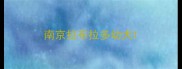 南京拉布拉多幼犬