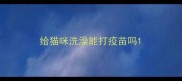 给猫咪洗澡能打疫苗吗