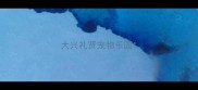 大兴礼贤宠物乐园