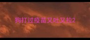 狗打过疫苗又吐又拉