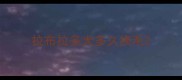 拉布拉多犬多久换毛