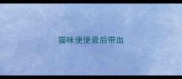 猫咪便便最后带血