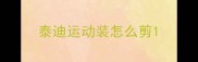 泰迪运动装怎么剪