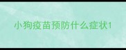 小狗疫苗预防什么症状