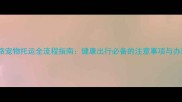 上海铁路宠物托运全流程指南健康出行必备的注意事项与办理攻略