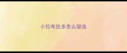 小拉布拉多怎么驱虫