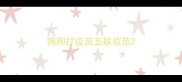 狗狗打疫苗五联疫苗