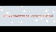 两个月大幼犬便秘的护理全攻略科学应对方法与预防指南