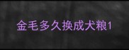 金毛多久换成犬粮