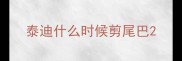 泰迪什么时候剪尾巴
