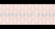 狗狗接种疫苗后是否需要服用消炎药权威兽医疫苗后用药全指南