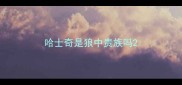 哈士奇是狼中贵族吗