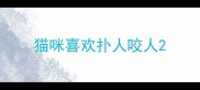 猫咪喜欢扑人咬人