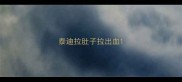 泰迪拉肚子拉出血