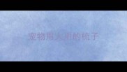宠物用人用的梳子