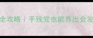 泰迪熊毛发护理全攻略手残党也能养出会发光的贵宾犬