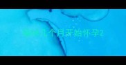 猫咪几个月开始怀孕