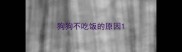 狗狗不吃饭的原因
