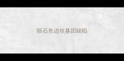 陨石色边牧基因缺陷