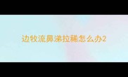 边牧流鼻涕拉稀怎么办