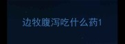边牧腹泻吃什么药