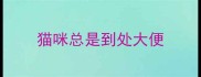 猫咪总是到处大便