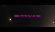 狗狗打完疫苗心跳加速