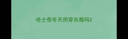 哈士奇冬天用穿衣服吗