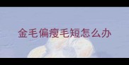 金毛偏瘦毛短怎么办
