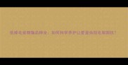 低掉毛宠物猫品种全如何科学养护让爱宠告别毛絮困扰