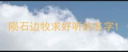 陨石边牧求好听的名字