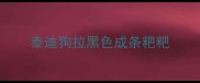 泰迪狗拉黑色成条粑粑