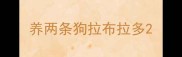养两条狗拉布拉多