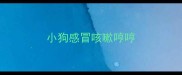 小狗感冒咳嗽哼哼