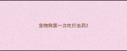 宠物狗第一次吃打虫药