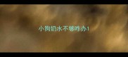 小狗奶水不够咋办
