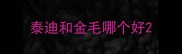 泰迪和金毛哪个好