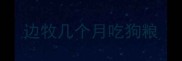 边牧几个月吃狗粮
