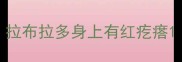 拉布拉多身上有红疙瘩