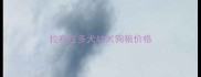 拉布拉多犬幼犬狗粮价格