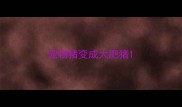 宠物猪变成大肥猪