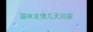 猫咪发情几天回家