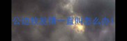 公边牧发情一直叫怎么办