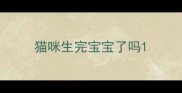 猫咪生完宝宝了吗