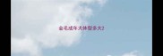 金毛成年犬体型多大