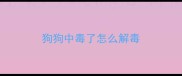 狗狗中毒了怎么解毒